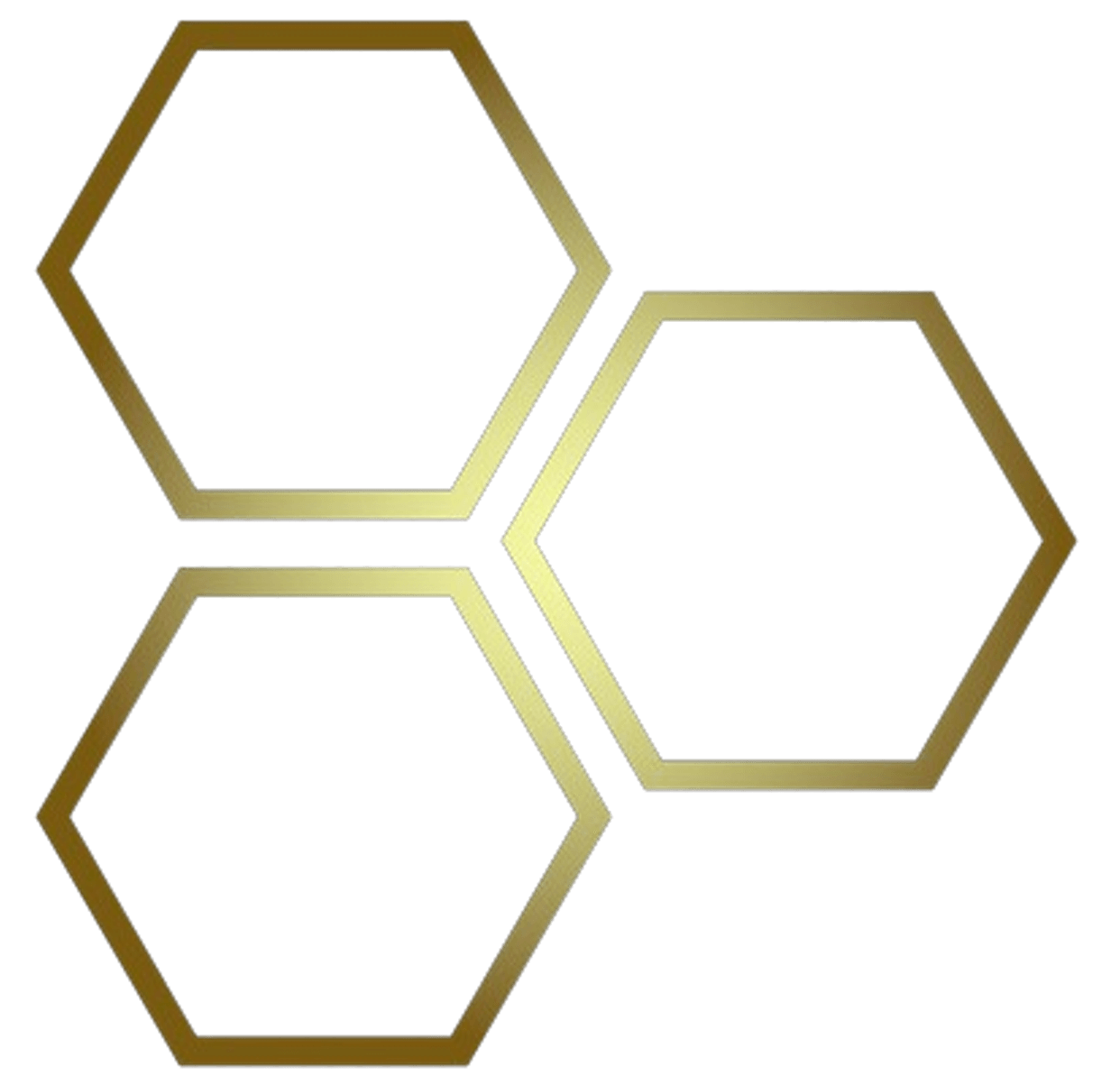 Evolet Infosystem LLP logo