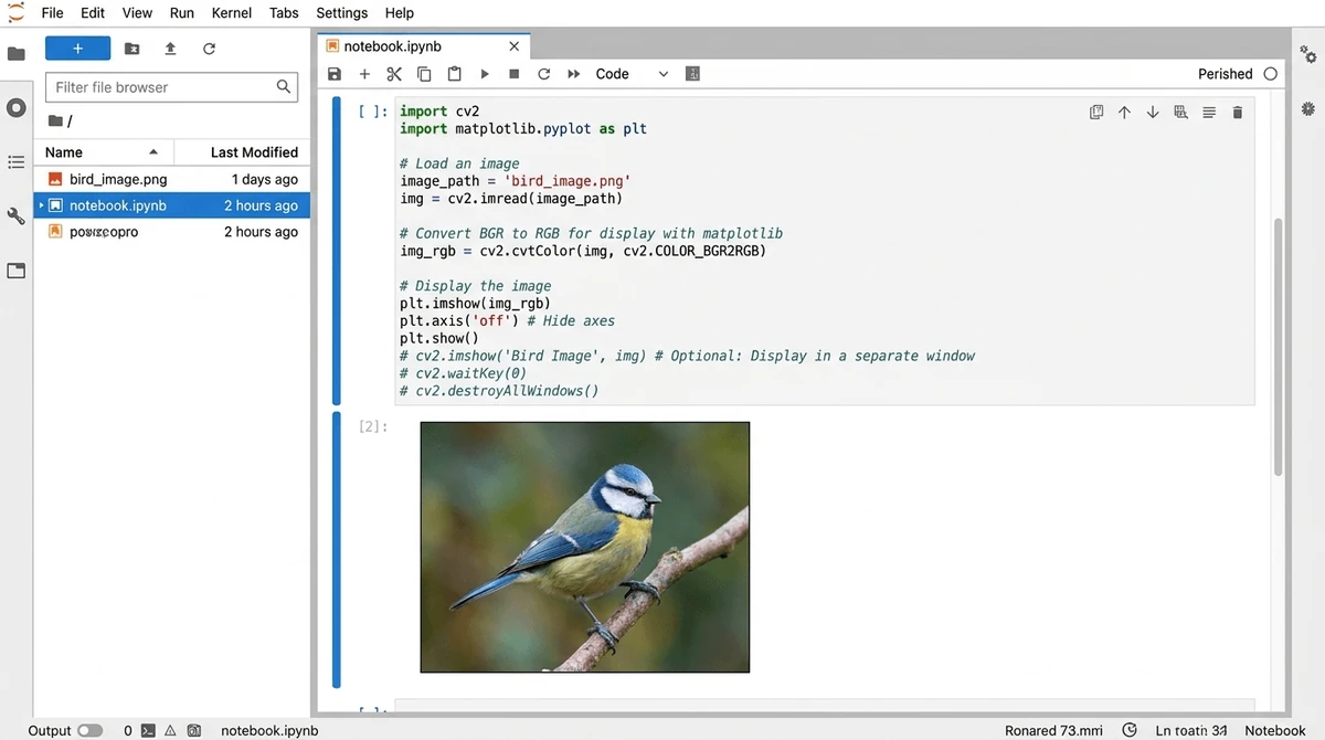 Computer Vision and Natural Language Processing screen 3